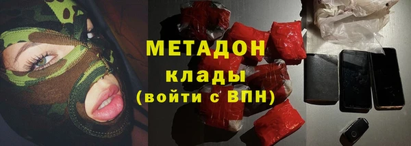 хмурый Аркадак