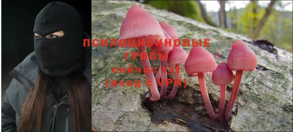 каннабис Баксан