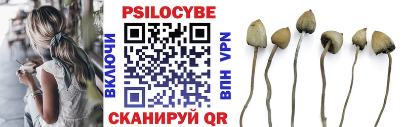 купить наркотики сайты  Мамадыш  Псилоцибиновые грибы Magic Shrooms 